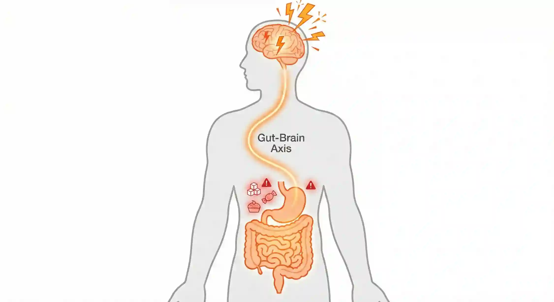 ارتباط نوسان قند خون و ترشح هورمونهای استرس در حملات پنیک.